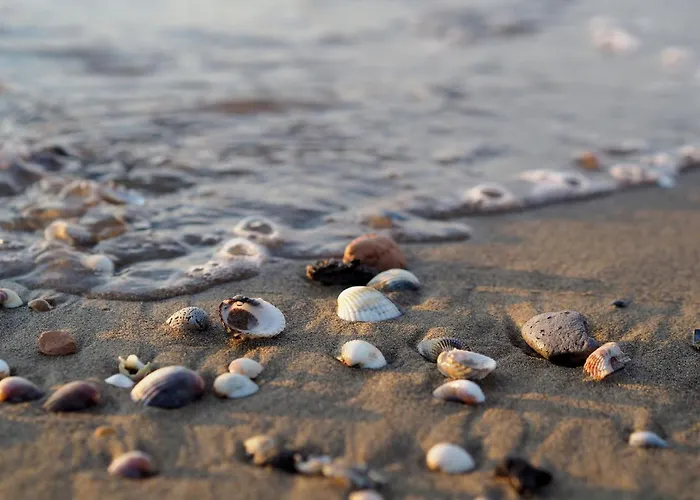 Apartment Bright Flat 130mt From The Bibione